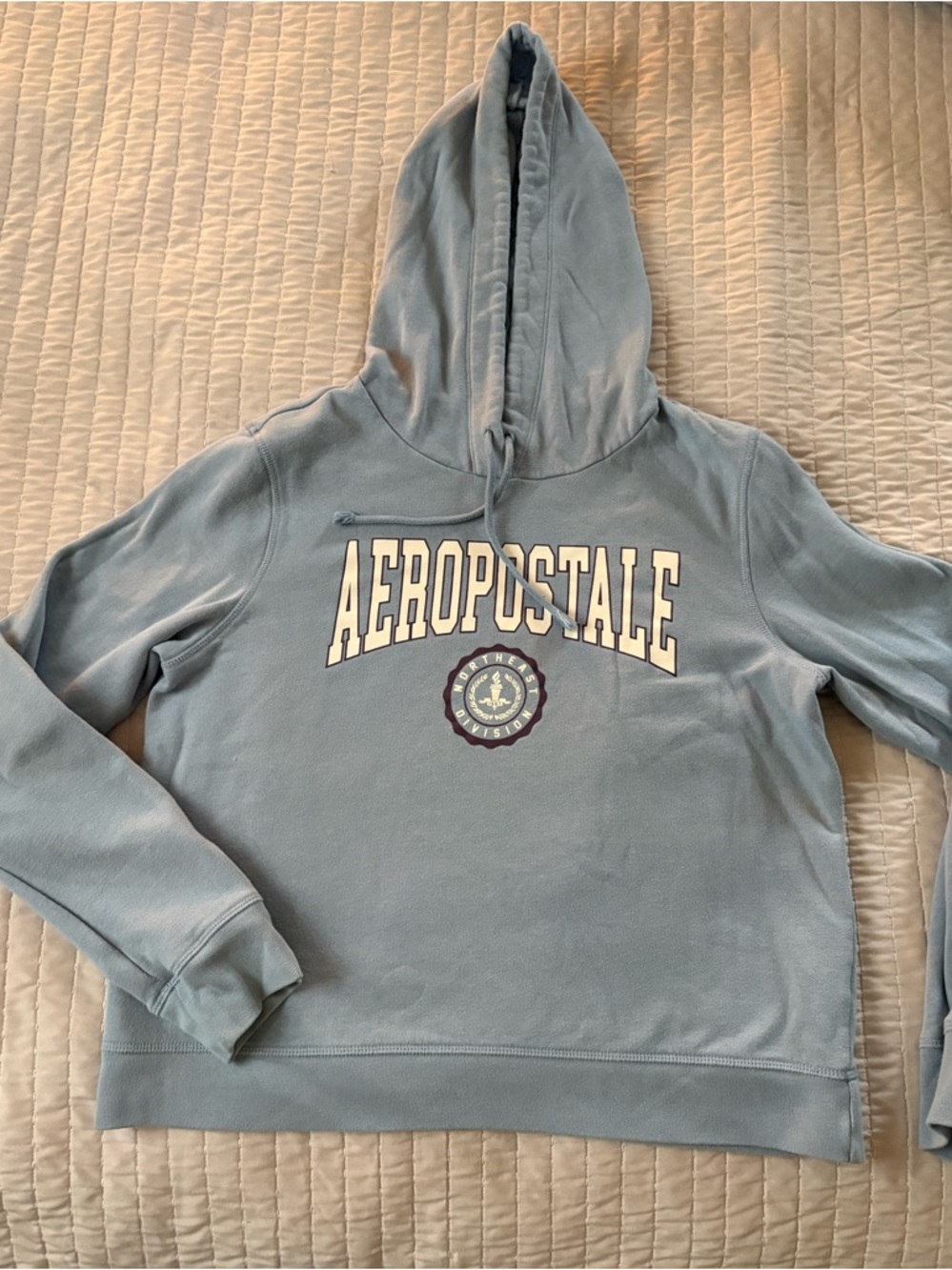 Aeropostale Light Blue Pullover Hoodie with Label